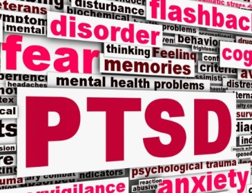 Your Brain and Post Traumatic Stress Disorder Part 2